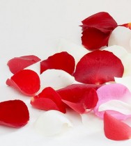 Rose petals